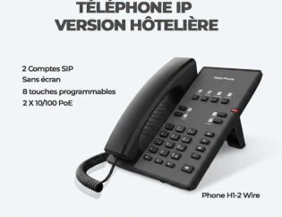 rix Standard Téléphonique au Maroc : PABX Classique vs IP